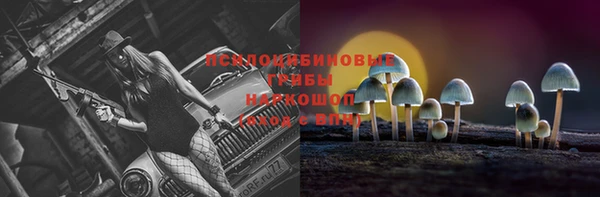 хмурый Верхний Тагил
